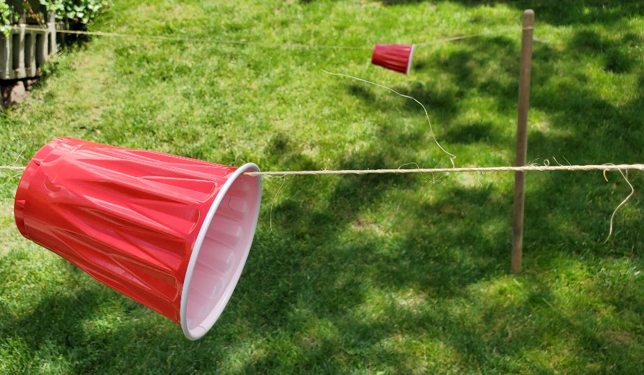 red plastic cups float on string above the lawn